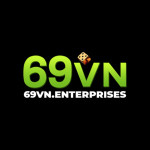 69vn enterprises