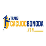 Top trang cá cược bóng đá