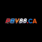 PBV88
