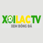 Fondazionesabattini it   lừa đảo