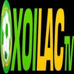 Mintatlorg fake website