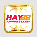 App HAY88