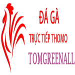 Đá Gà Trực Tiếp Thomo