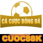 Cá cược bóng đá