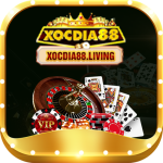 xocdia88living