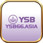 YSB66 ASIA
