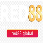 RED88 Nhà Cái Cá Cược Bóng Đá - Tỷ Lệ Kèo Cược Tốt Nhất