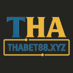 Thabet Trung Tam Giai Tri Mang