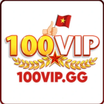 100vip