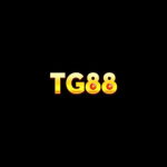 TG88 CA