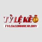 tylekeonhacaicomco