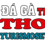 TRỰC TIẾP ĐÁ GÀ THOMO HÔM NAY TẠI CAMPUCHIA