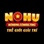 nohu90consulting
