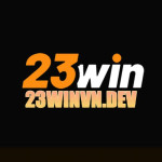 23WIN