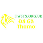 Đá Gà Trực Tiếp Thomo