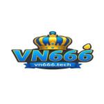 vn666