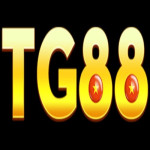 Tg88