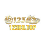 123B0 Top