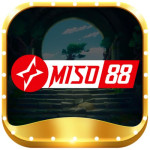 miso88
