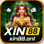 XIN88