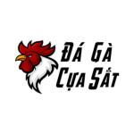 dagacuasat- pro