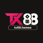 tx88homes