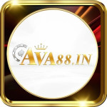 ava88in