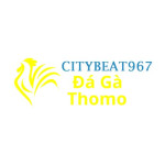 Đá Gà Trực Tiếp Thomo