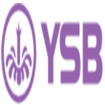 Ysb66