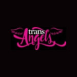 Trans Angels