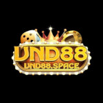 VND88 Space