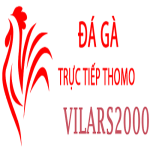 Đá Gà Trực Tiếp Thomo