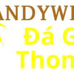 Đá Gà Trực Tiếp Thomo