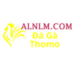 Đá Gà Trực Tiếp Thomo