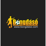 Bongdaso It