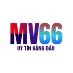 mv66city
