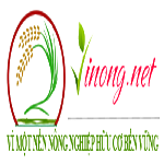 Vinong Đức Bình