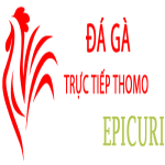 Đá Gà Trực Tiếp Thomo
