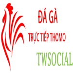 Đá Gà Trực Tiếp Thomo