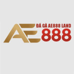 ĐÁ GÀ AE888