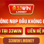 33win1money