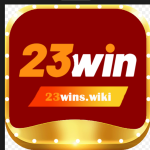 23winswiki