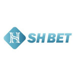 Shbet1 org