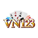 Vn123