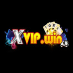 XVIP Trang Chu